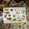 20 Sheets Nature Botanical Scrapbook Stickers - Leaf and Fruit (200 Pieces)